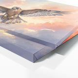 Falcon Graceful Flight 123