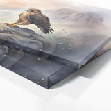 Falcon Misty Ascent 132