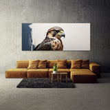Falcon Negative Space 92