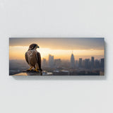 Falcon Urban Dawn 169