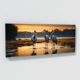 Crane Reflective Elegance 78