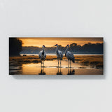 Crane Reflective Elegance 78