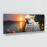 Cockatoo First Light Awakening 61