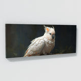 Cockatoo Gaze Of Wisdom 20