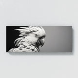 Cockatoo Shadowed Elegance 99