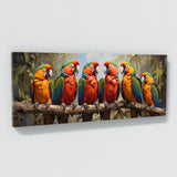 Macaw Colorful Harmony 61