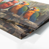 Macaw Colorful Harmony 61