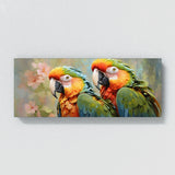 Macaw Dreamy Vision 53