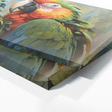 Macaw Dreamy Vision 53