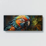 Macaw Feathered Intensity 7