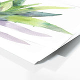 Aloe Vera Aloe Simplicity 11