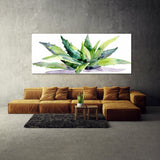 Aloe Vera Aloe Simplicity 11