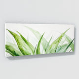 Aloe Vera Aloes Whisper 10