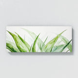 Aloe Vera Aloes Whisper 10
