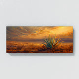 Aloe Vera Desert Aloe Sunset 6