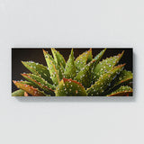 Aloe Vera Dewy Aloe 7