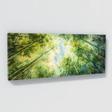 Bamboo Enchanted Canopy 10