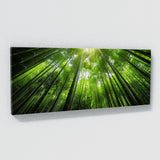 Bamboo Horizon 16
