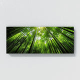 Bamboo Horizon 16