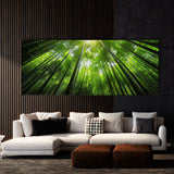 Bamboo Horizon 16