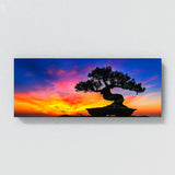 Bonsai Tree Bonsai 14