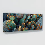 Cactus Desert Dreamscape 49