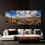 Cactus Desert Splendor Vista 45