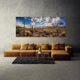 Cactus Desert Splendor Vista 45