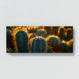 Cactus Desert Sun Glow 46