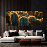 Cactus Desert Sun Glow 46