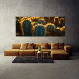 Cactus Desert Sun Glow 46