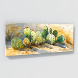 Cactus Desert Sunlight Cacti 40