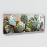 Cactus Prickly Serenity 31