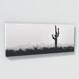 Cactus Silhouette Serenity 51