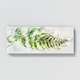Fern Plant Elegant Fern Study 12