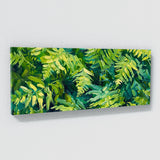 Fern Plant Fern Energy Burst 17