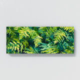 Fern Plant Fern Energy Burst 17