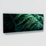 Fern Plant Fern Vein Symphony 26