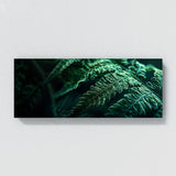 Fern Plant Fern Vein Symphony 26