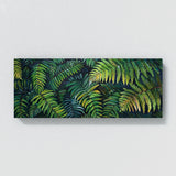 Fern Plant Fern Whispers 3