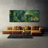 Fern Plant Fern Whispers 3