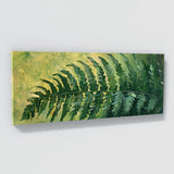 Fern Plant Ferns Grace 8