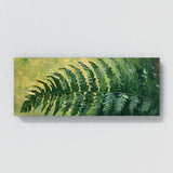 Fern Plant Ferns Grace 8