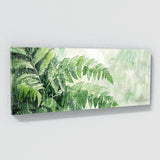 Fern Plant Ferns Rain Dance 10
