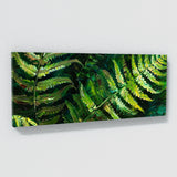 Fern Plant Ferns Vivid Essence 19