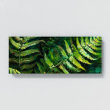 Fern Plant Ferns Vivid Essence 19
