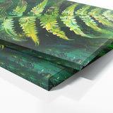 Fern Plant Ferns Vivid Essence 19