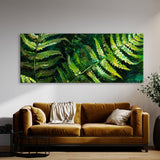 Fern Plant Ferns Vivid Essence 19