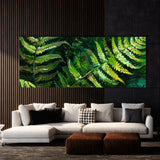 Fern Plant Ferns Vivid Essence 19