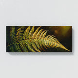 Fern Plant Golden Fern Elegance 4